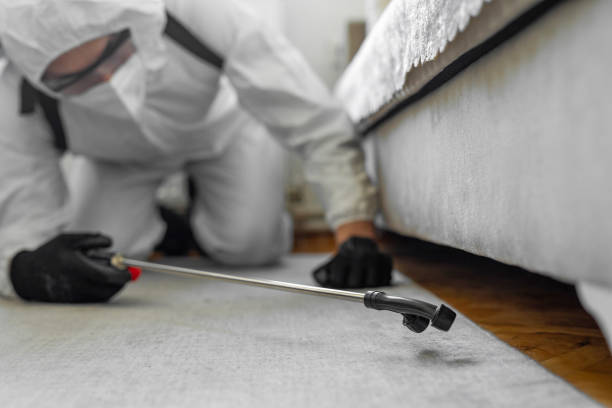 Professional Termite Control technician working in Buhler, KS