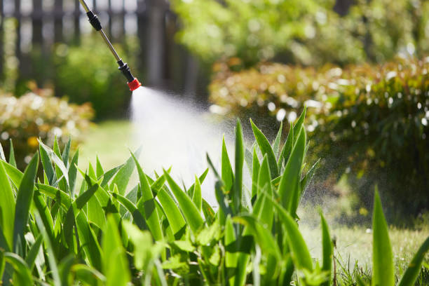 24/7 Emergency Termite Control experts in Buhler, KS