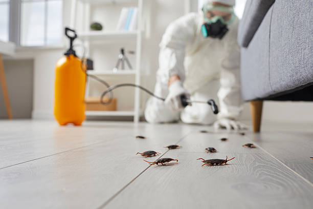 Trusted Termite Control service in Buhler, KS - Nex Pest Control