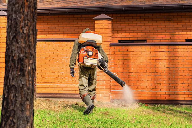Trusted Rodent Control service in Buhler, KS - Nex Pest Control